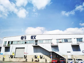 什么是仓储服务及其核心内容解析