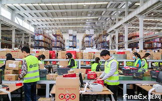 电商腾飞的坚实后盾 发网物流一站式淘宝仓储与物流解决方案